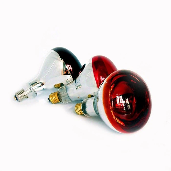 Red Heat Lamp Bulbs